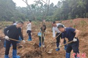 肇庆广州已打造首批32处“绿美宗教活动场所”