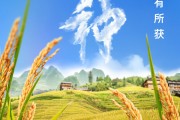 肇庆芒种节气小知识来了 夏种作物都有什么？