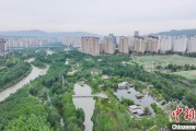 肇庆西宁市举办六五环境日主题宣传活动
